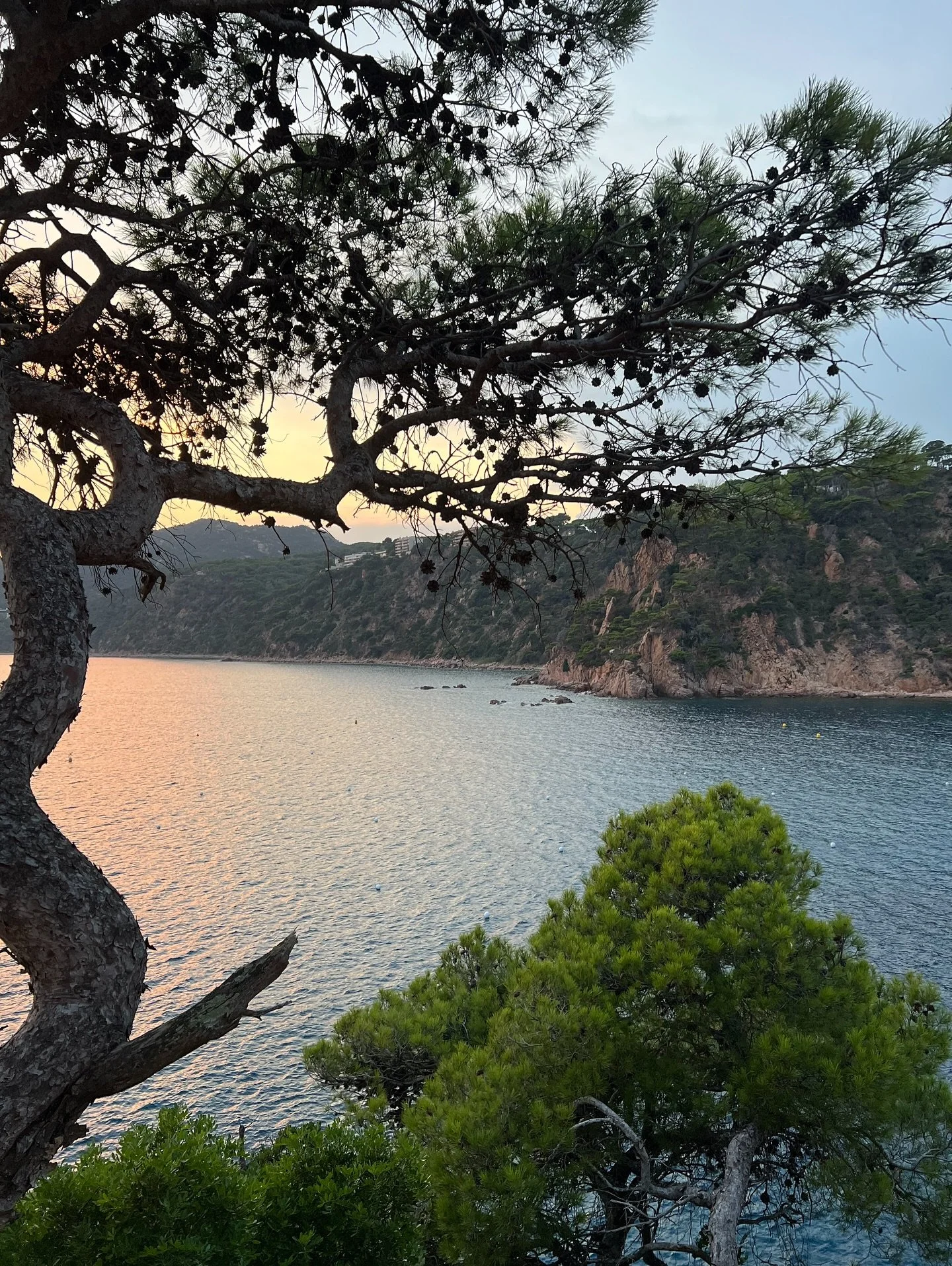 Out of the office and drawing inspiration from the beautiful textures and colours across the Balearic Sea and surrounding mountains