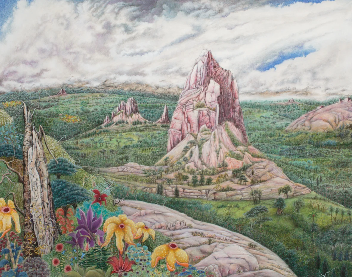 Landscape