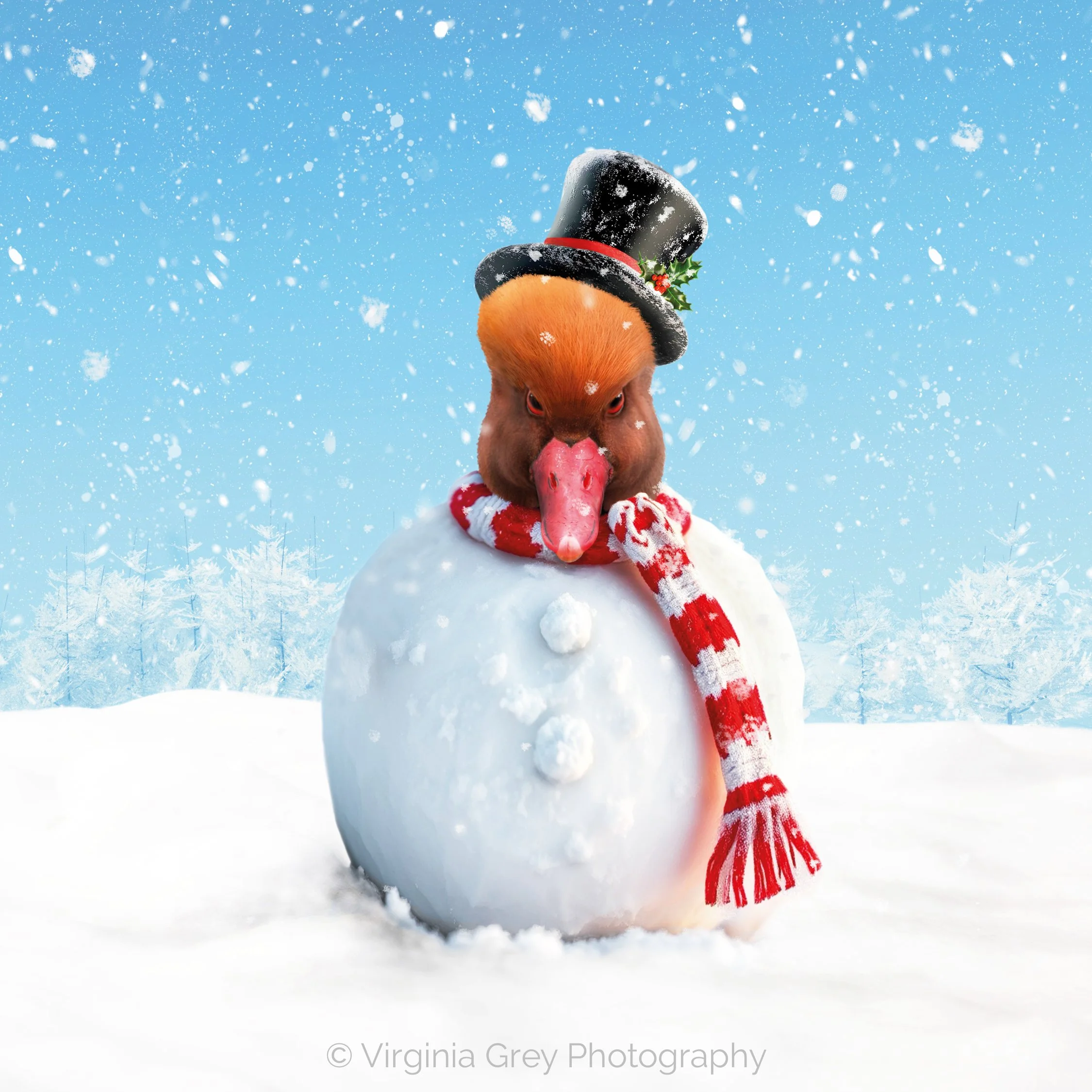 CHRISTMAS SNOWMAN CARD 2025.jpg