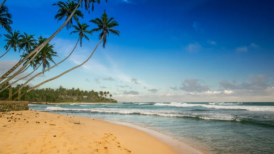thalpe-beach-900.jpg