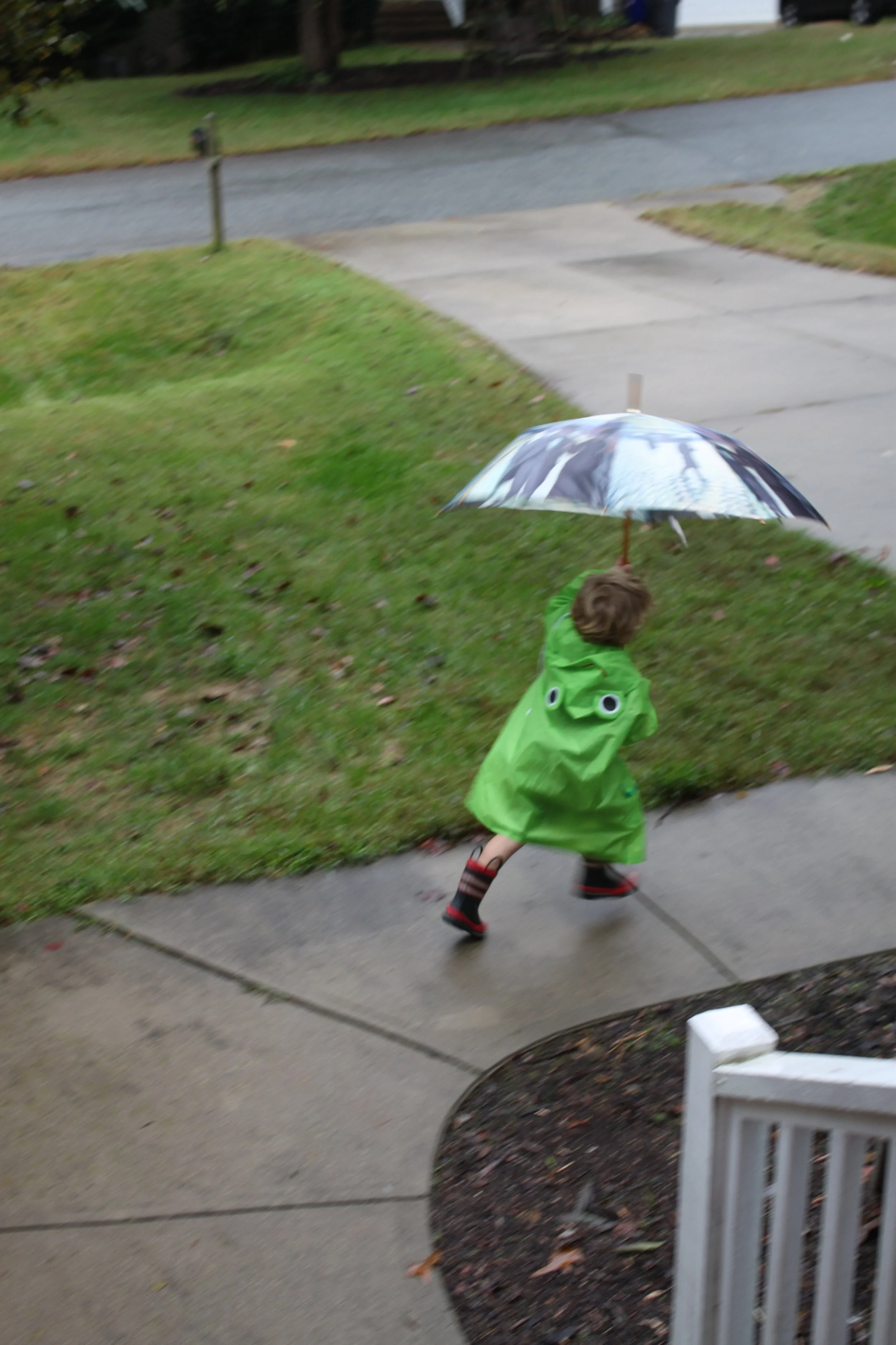 Positive psychology and the expanding umbrella of our social impact culture