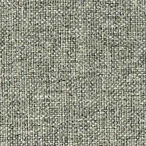vitreous