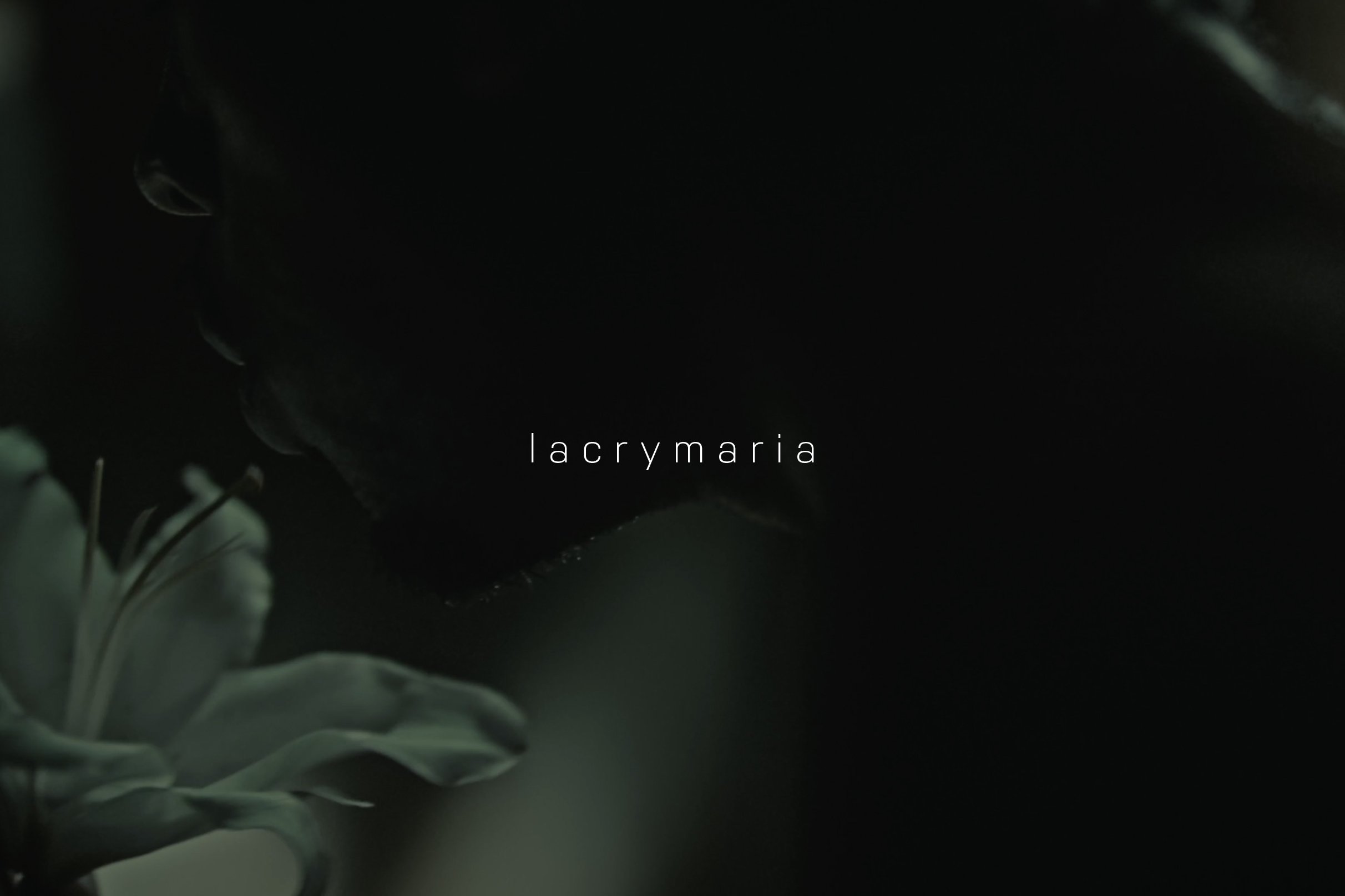 CAPA SITE_LACRYMARIA_1.jpg