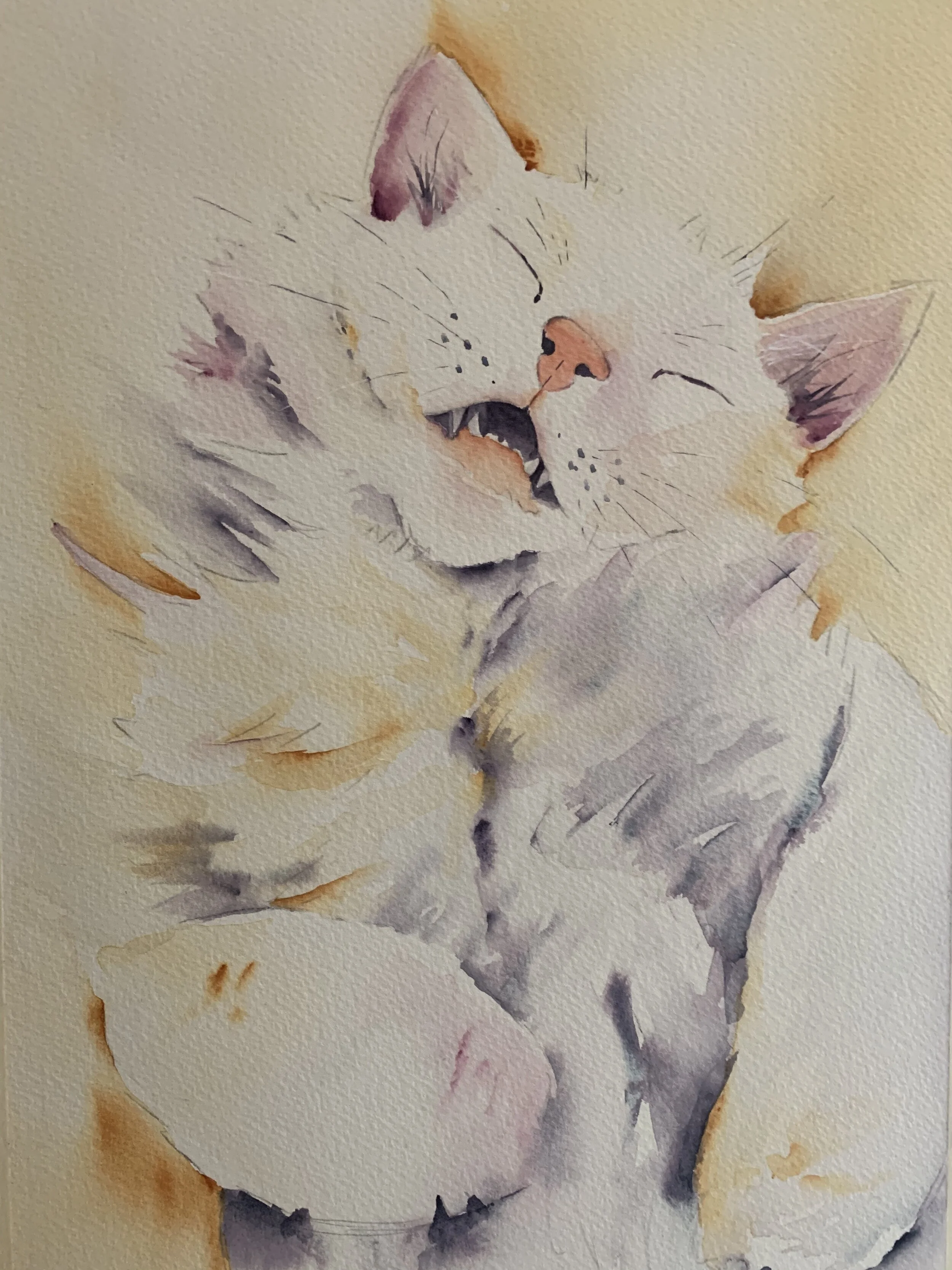 Brian - LauraMcLeod.jpeg