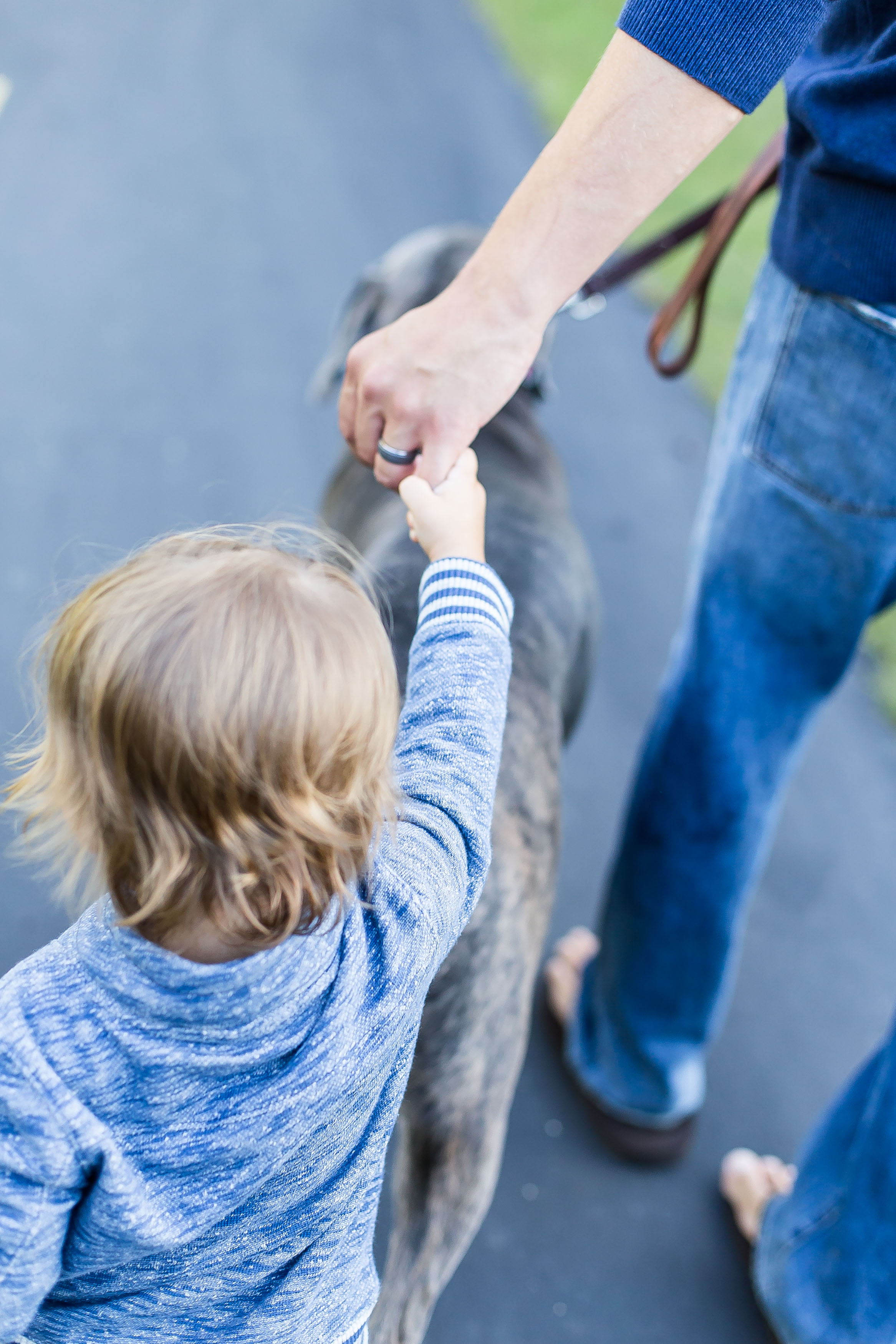 Minneapolis Family Photographer/Minnesota Lifestyle Photography/Twin Cities Family Photos