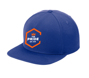 Snapback Blue C.png