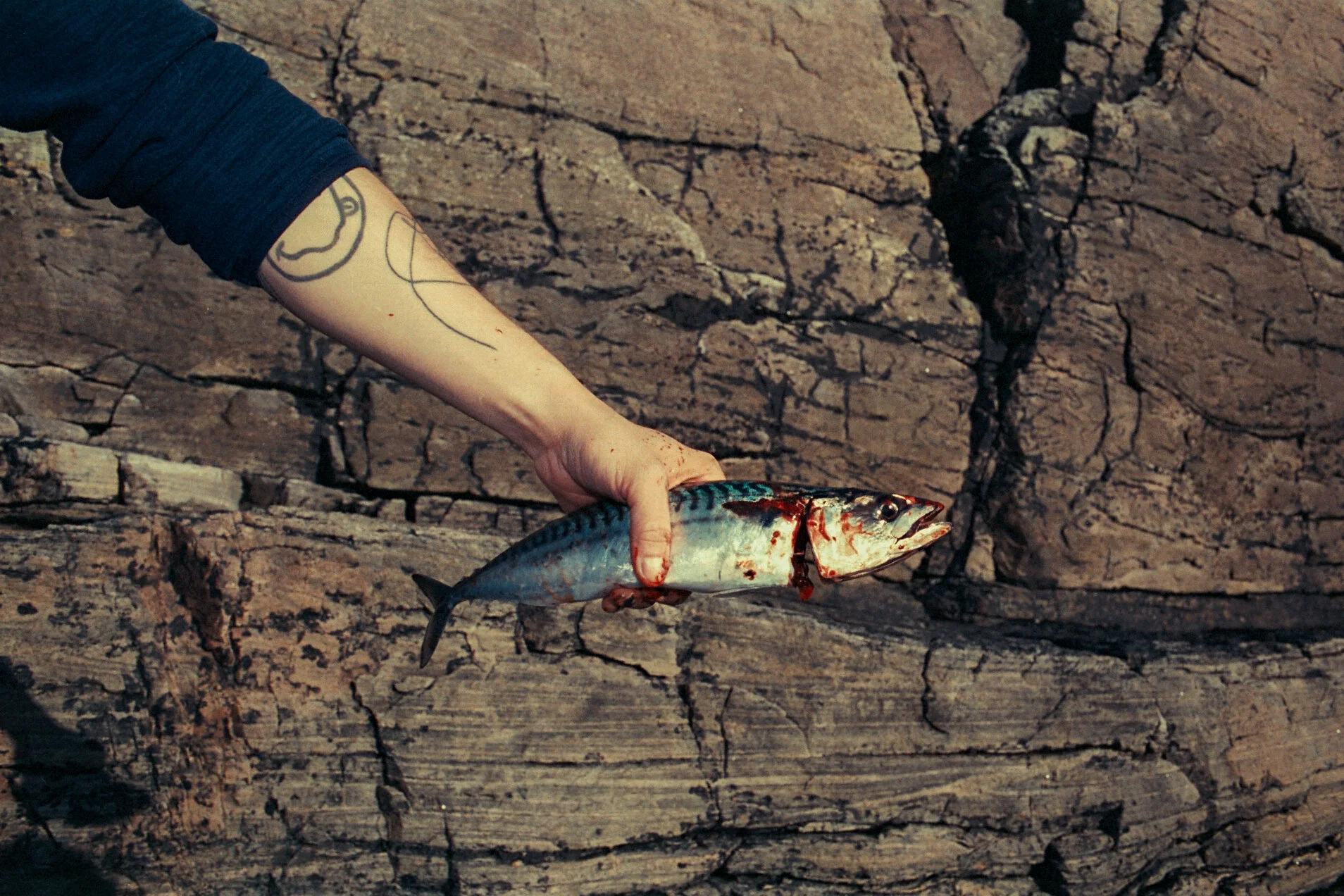  Fishing, September 2020 