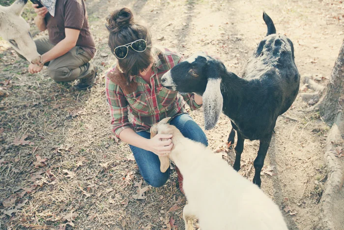Photography by Shannon Blackwell