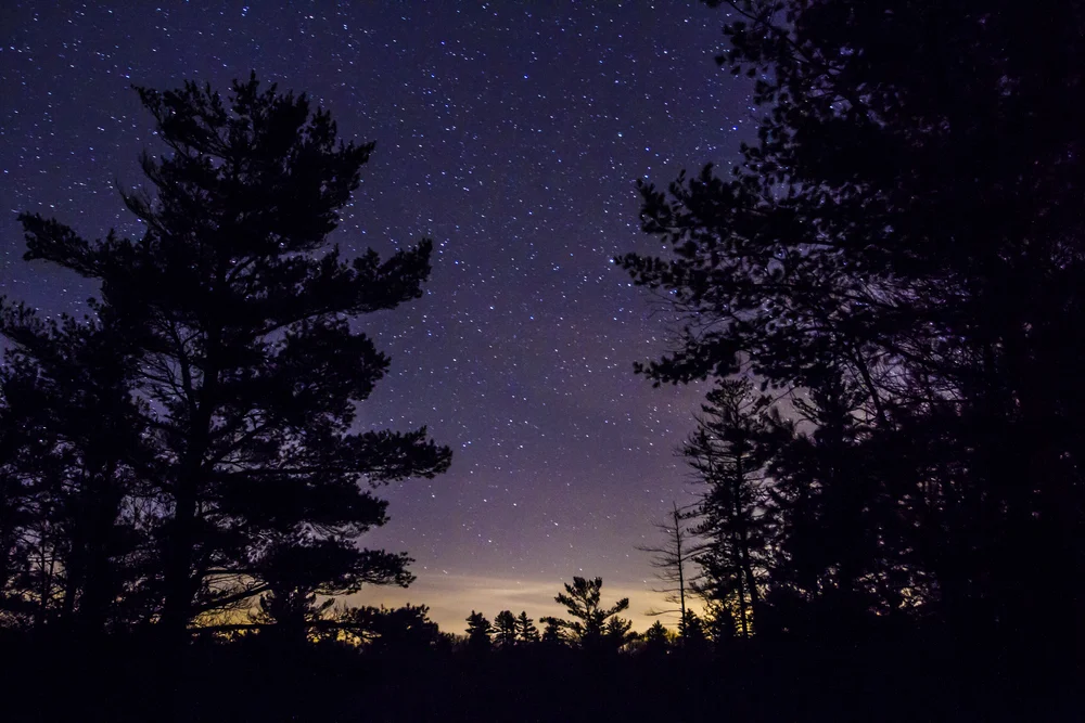Purple Sky Stars.jpg
