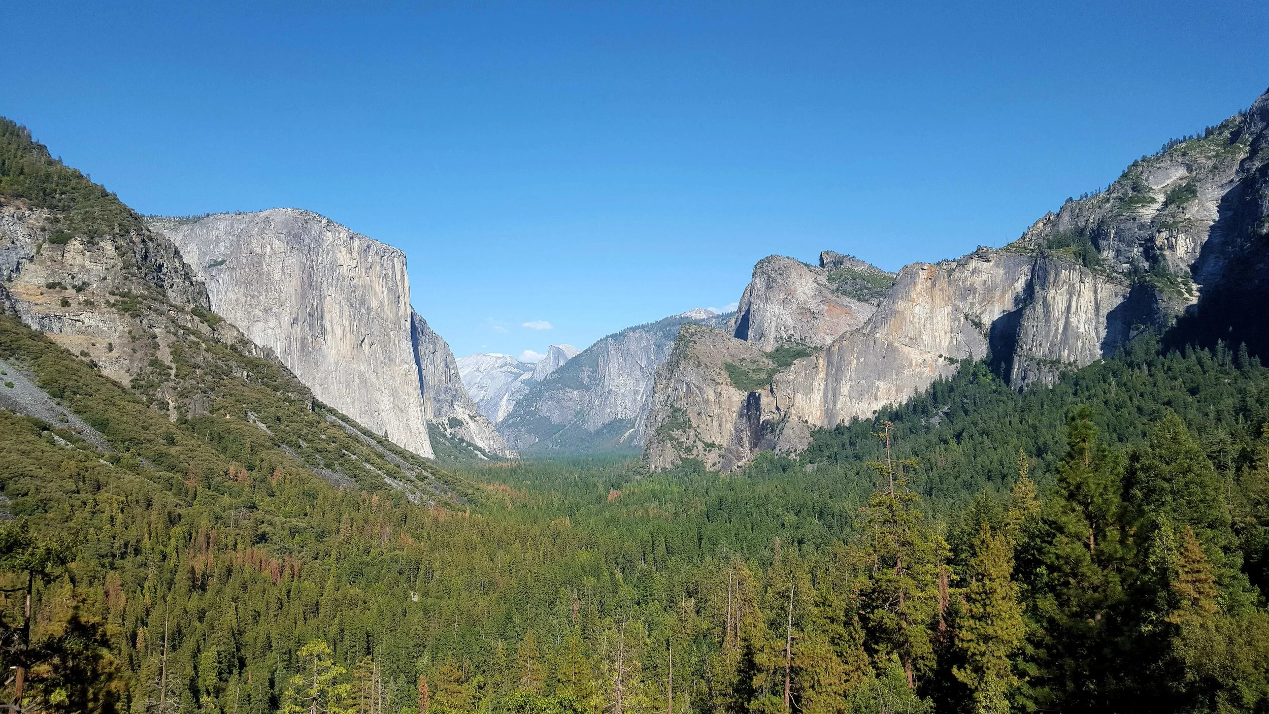 A view of El Capitan