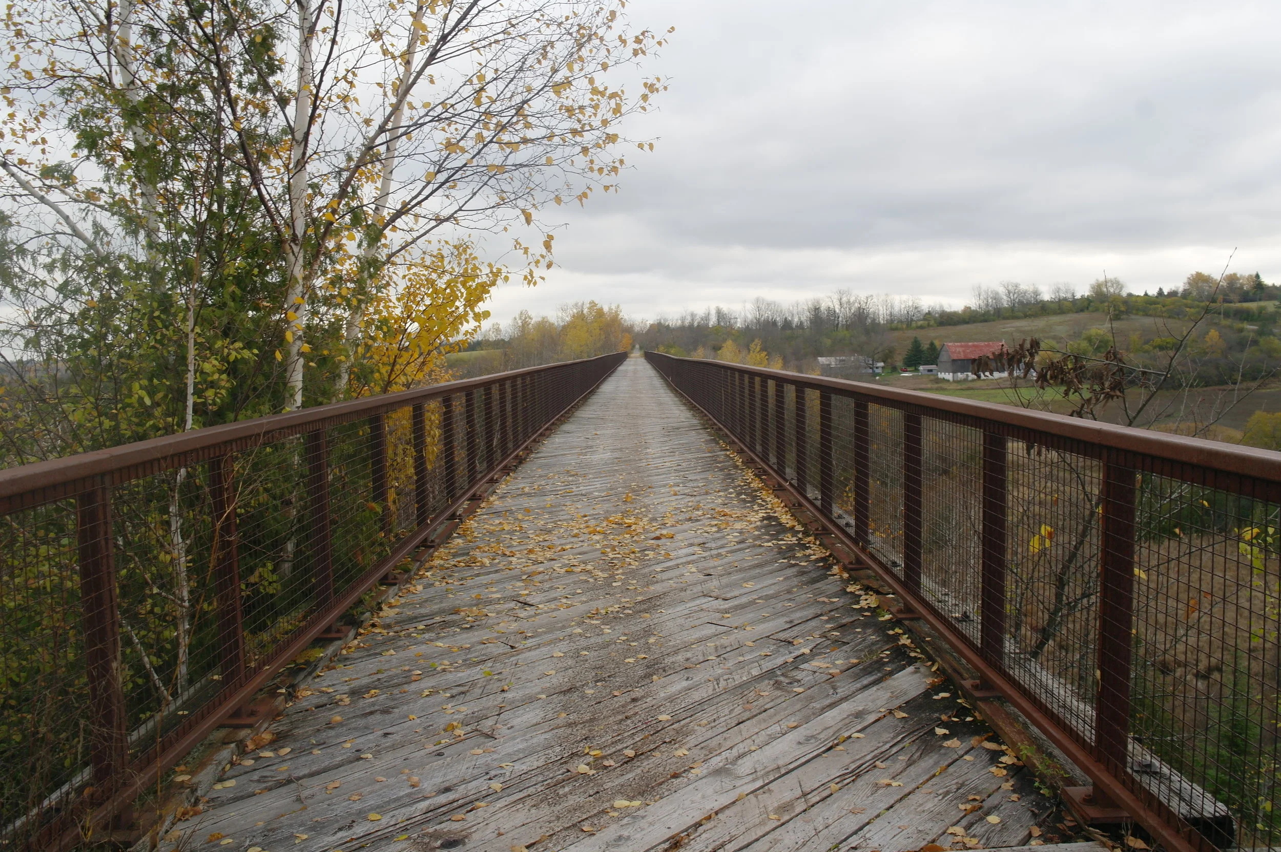 Down the Trans Canada