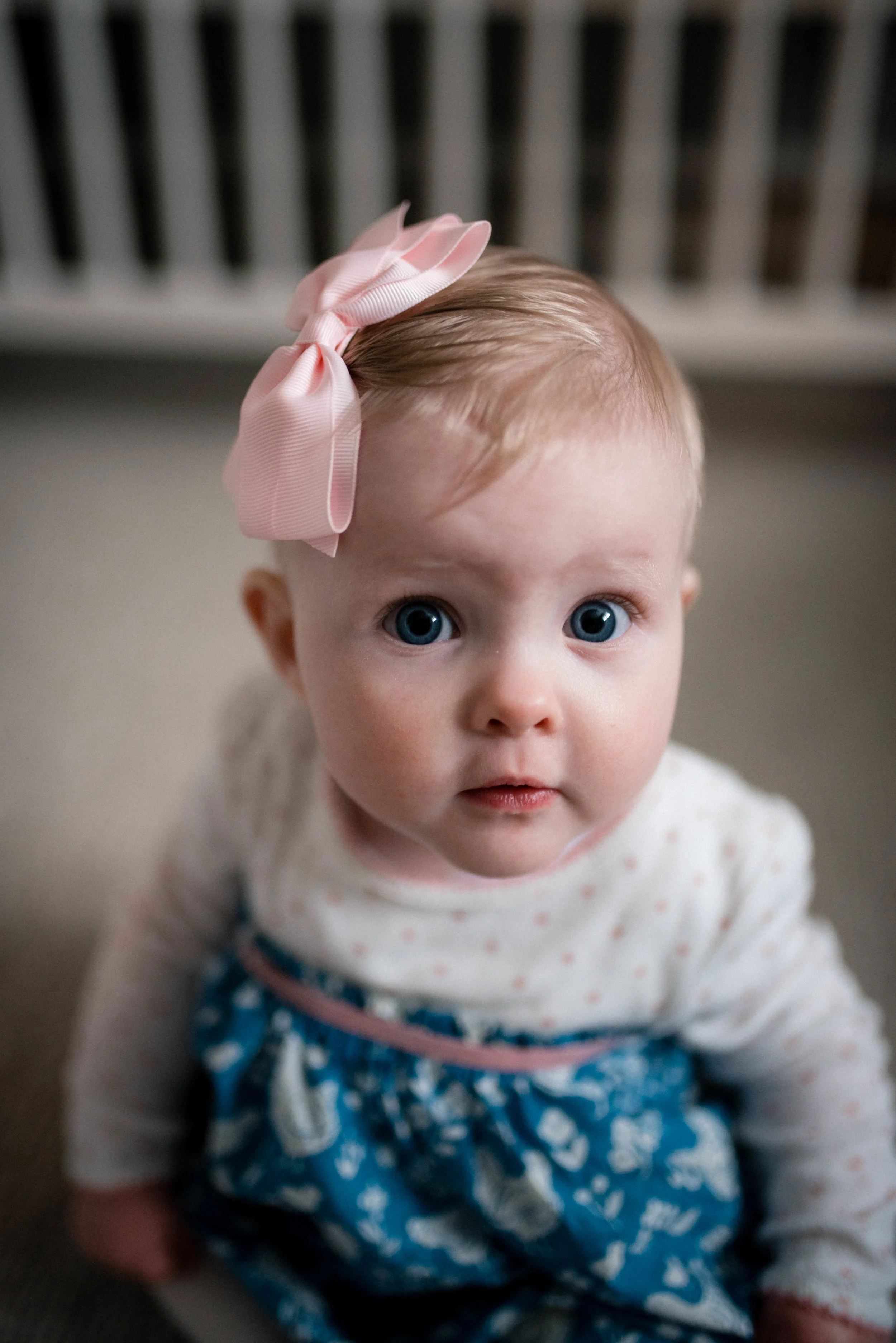 1-2019 Amy Reuter - Family Photos - For Printing-4.jpg