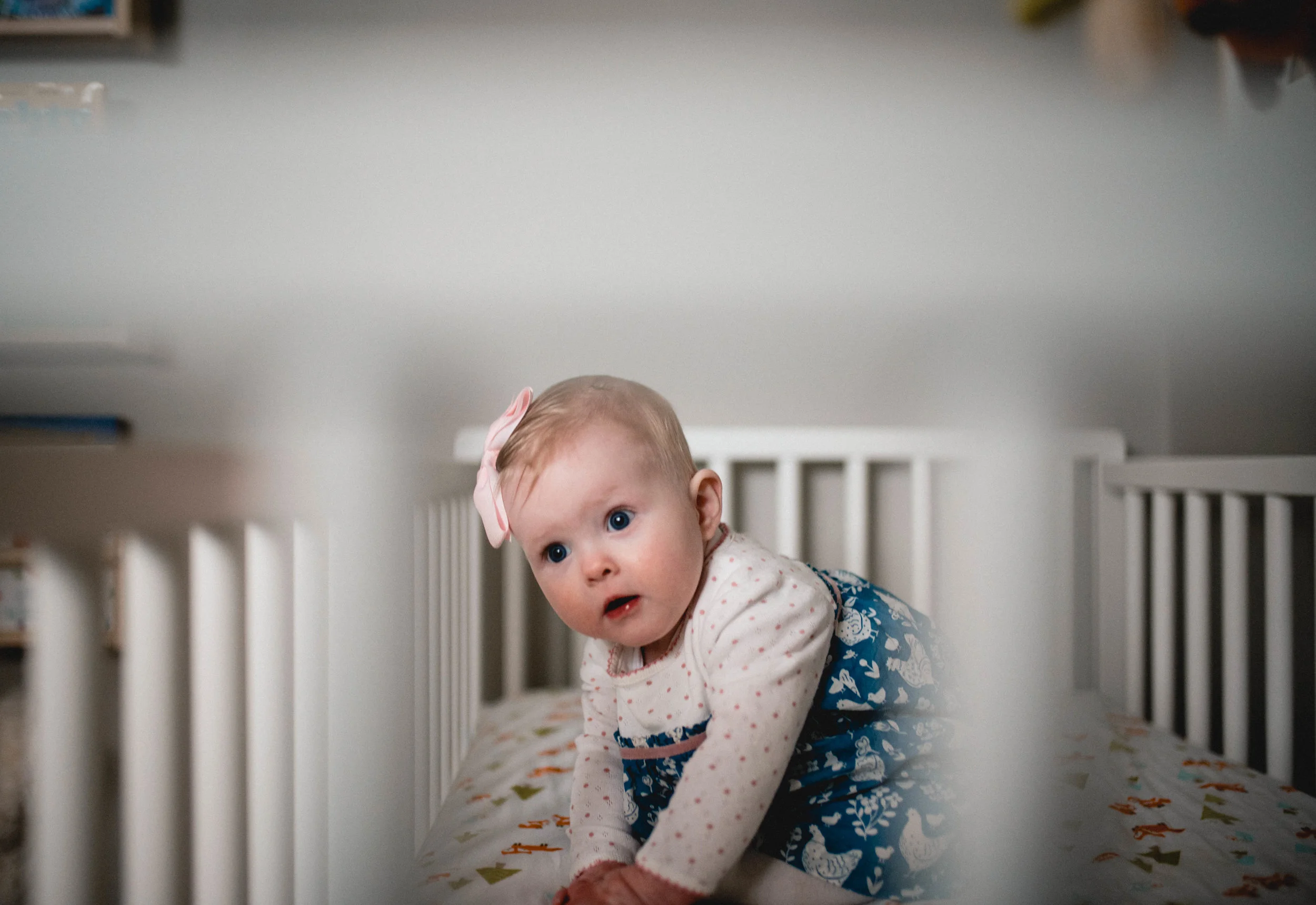 1-2019 Amy Reuter - Family Photos - For Printing-23.jpg