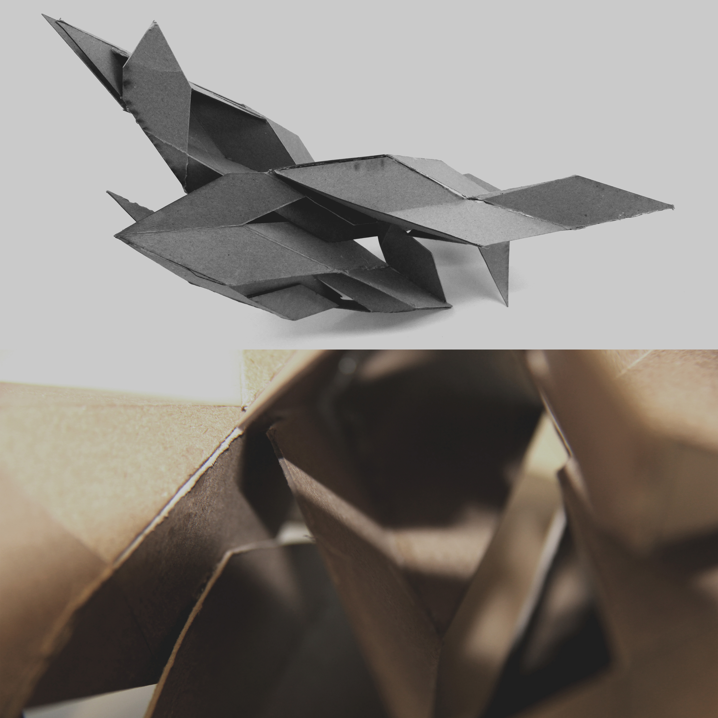 ModelPhotogai.jpg
