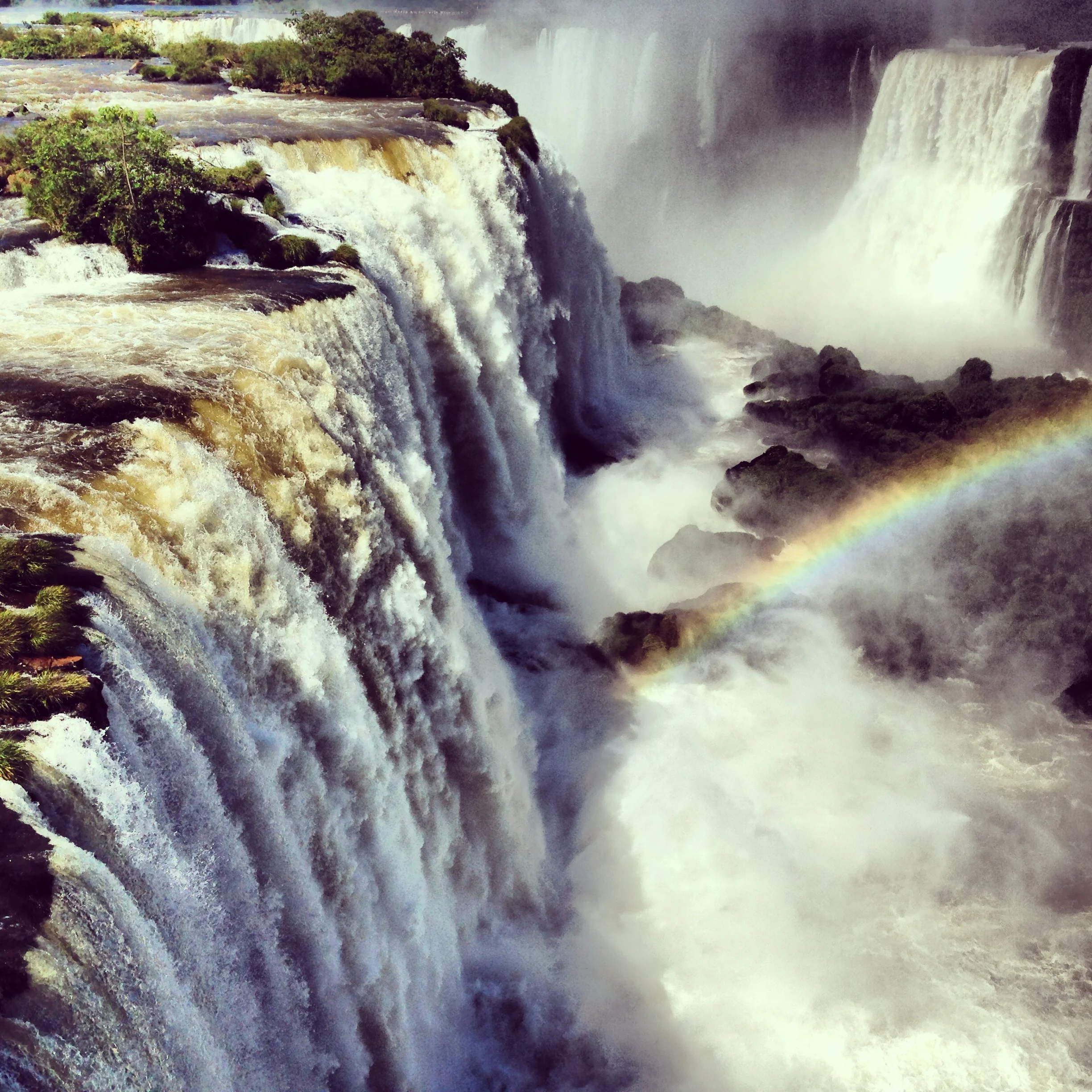 IMG_3213 5.03.06 PM.JPG