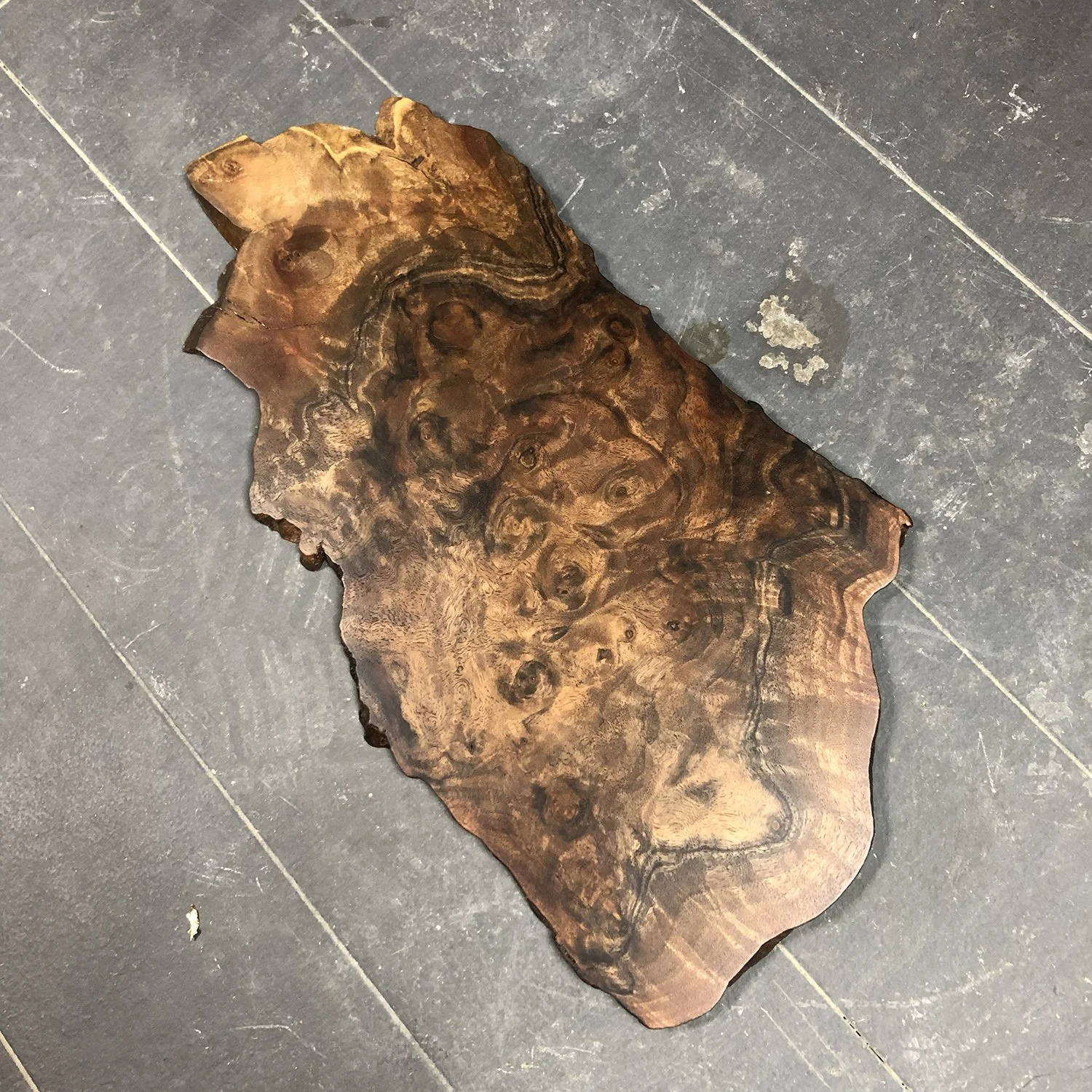 walnut6-1.jpg