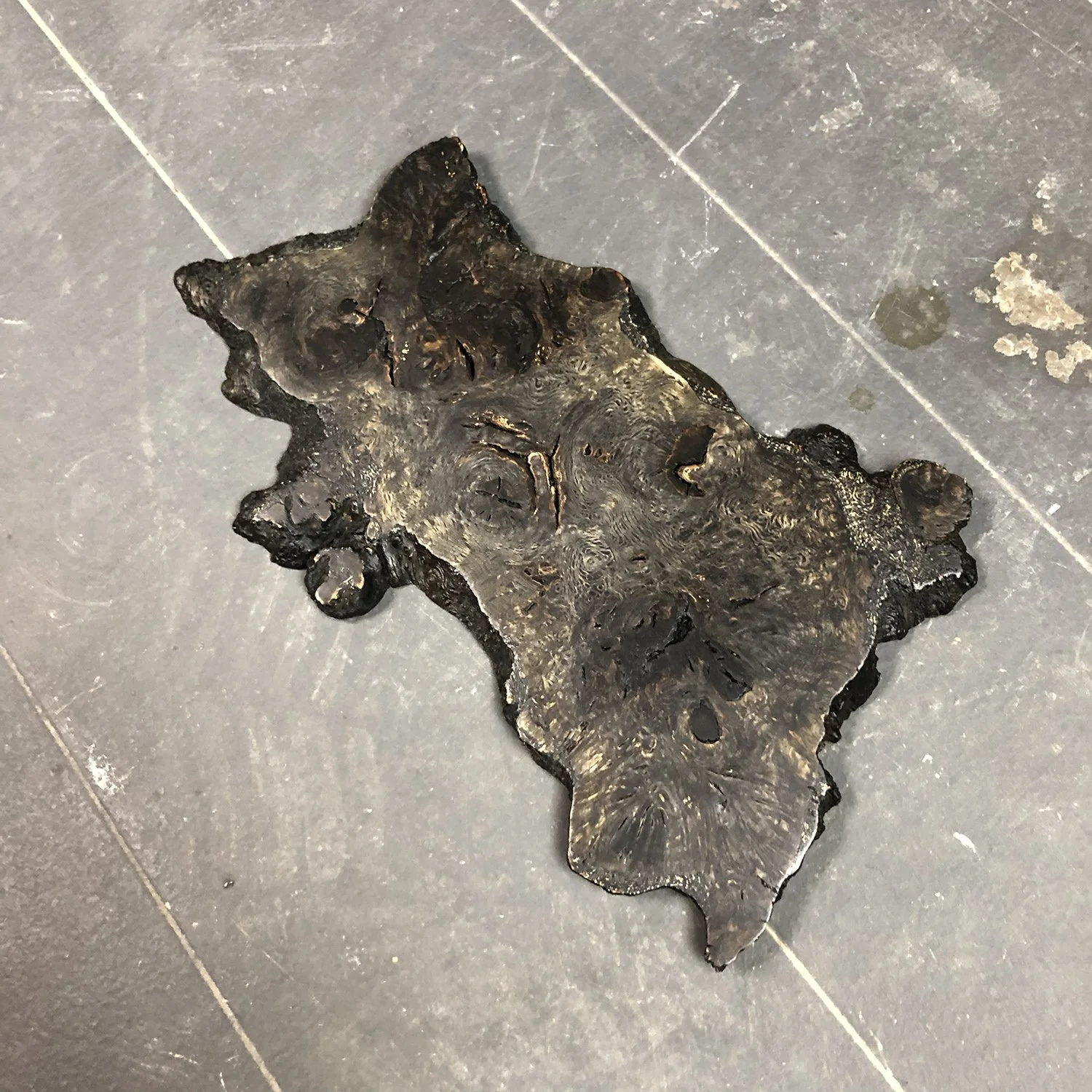 oak1-1.jpg