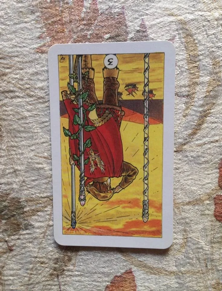 Card is from the Robin Wood deck, published 2002