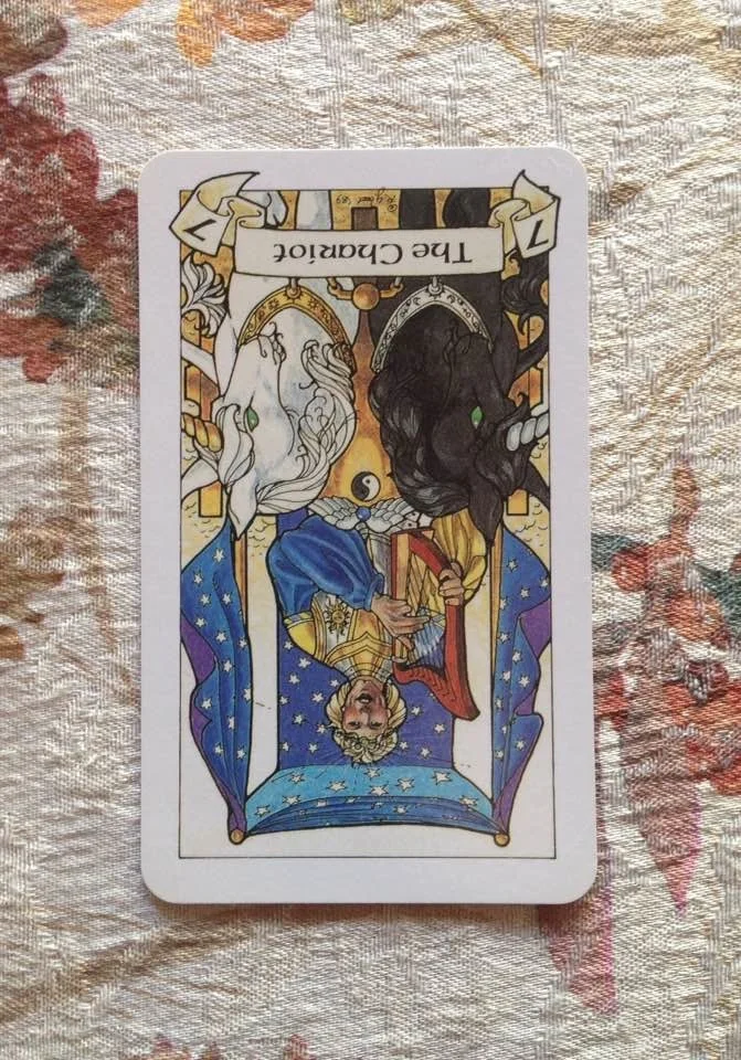 Card is from the Robin Wood deck, published 2002.