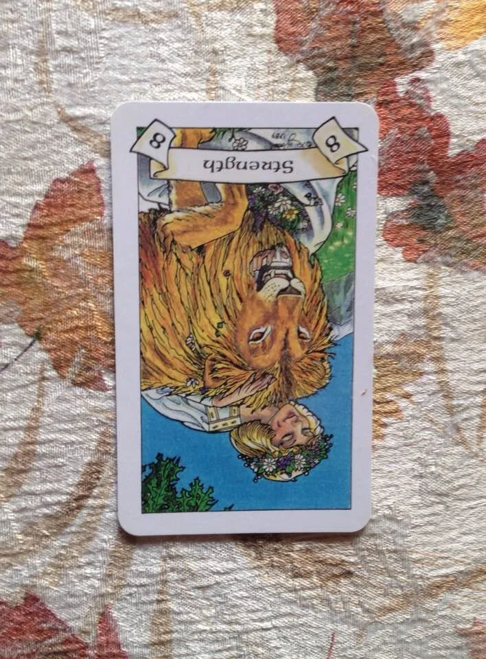Card is from the Robin Wood deck, published 2002.
