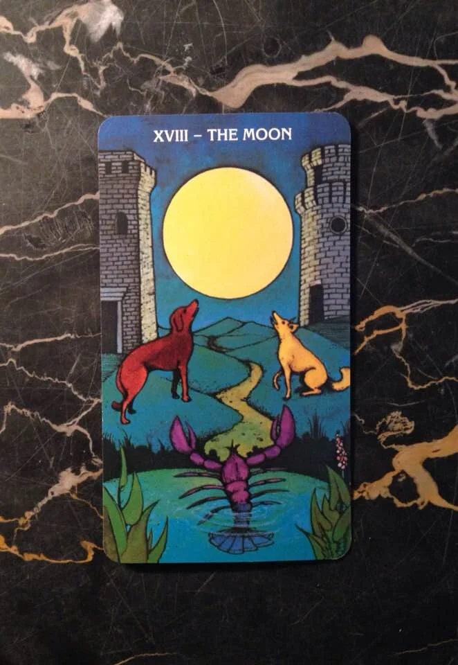 This card is from the Morgan-Greer deck, published in 1979.