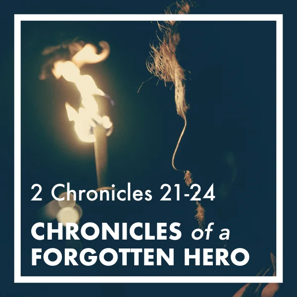 Chronicles of a Forgotten Hero