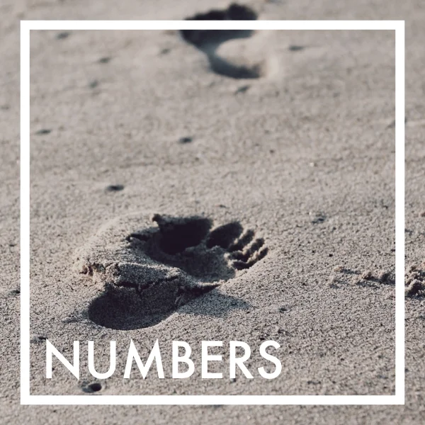 Numbers