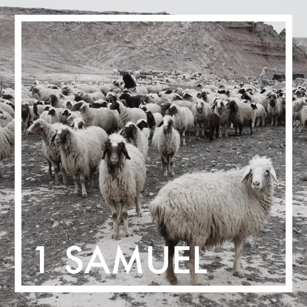 1 Samuel