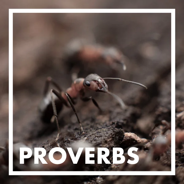Proverbs