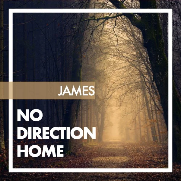 James: No Direction Home