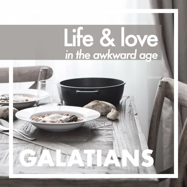2. A Coming of Age Story (Galatians 3:19 - 4:11)