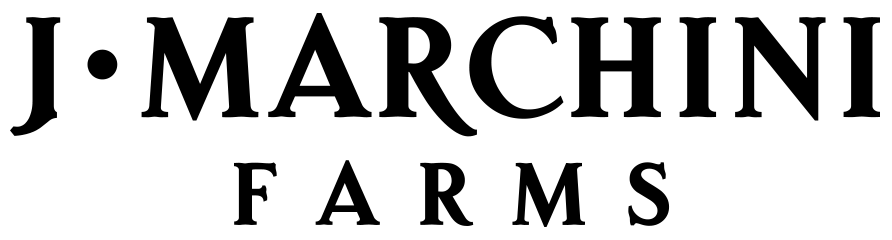 JMarchini-logo_200_blk.png