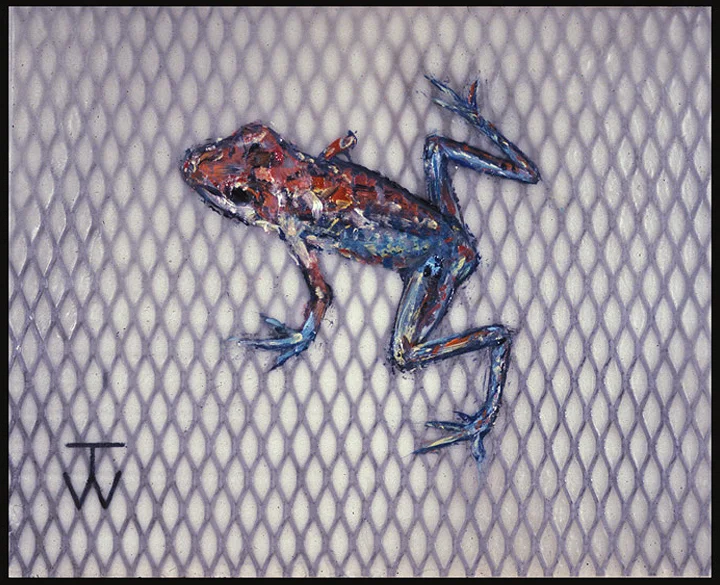 PoisonDartFrog