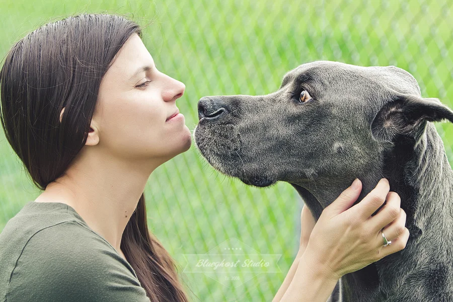 colorado-greatdane-photographer