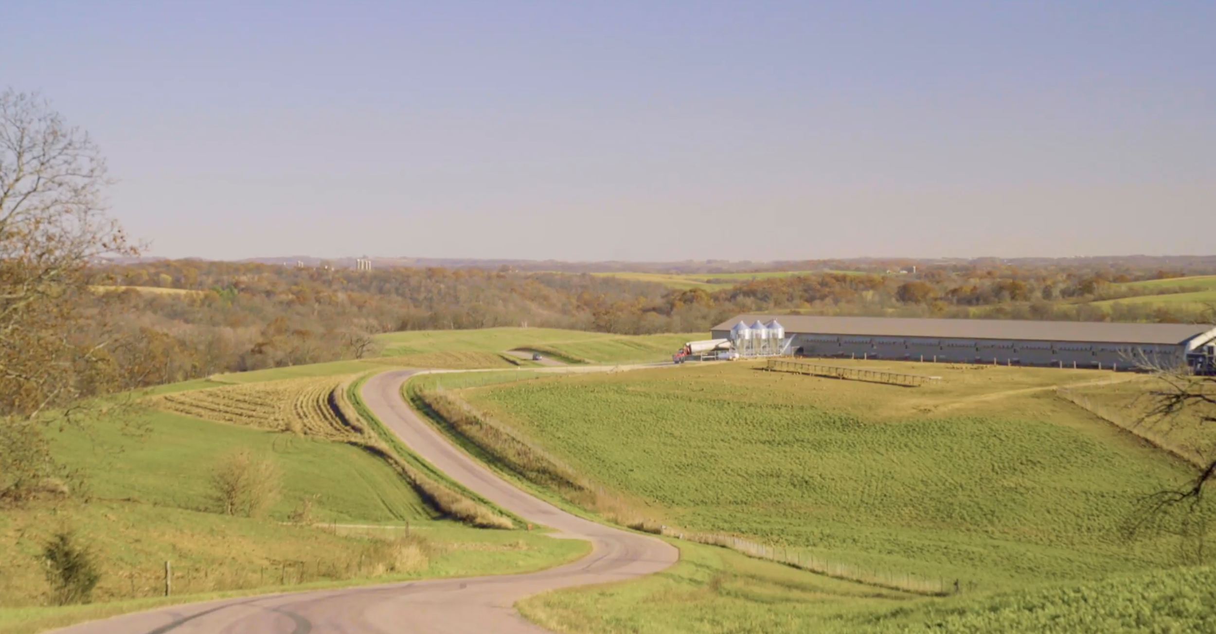 Cage-Free Egg Laying System: Farm Tour