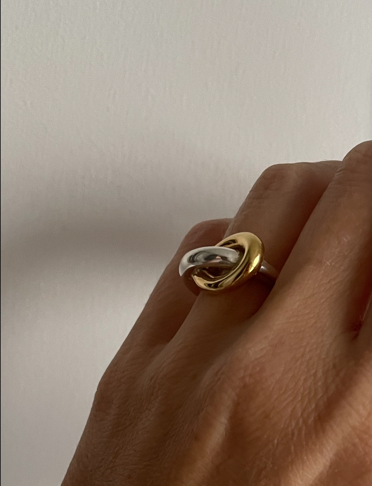 ortus ring.png (Copy)