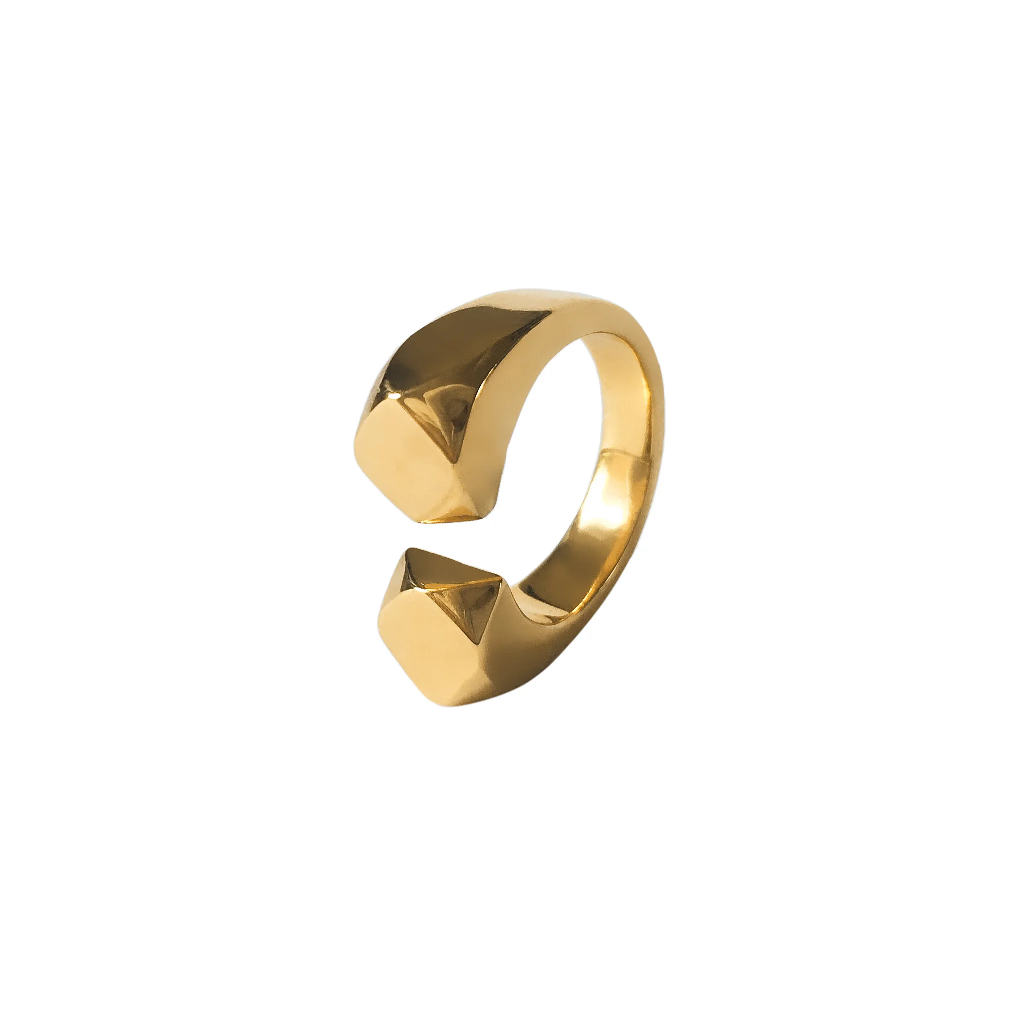 ARLO RING