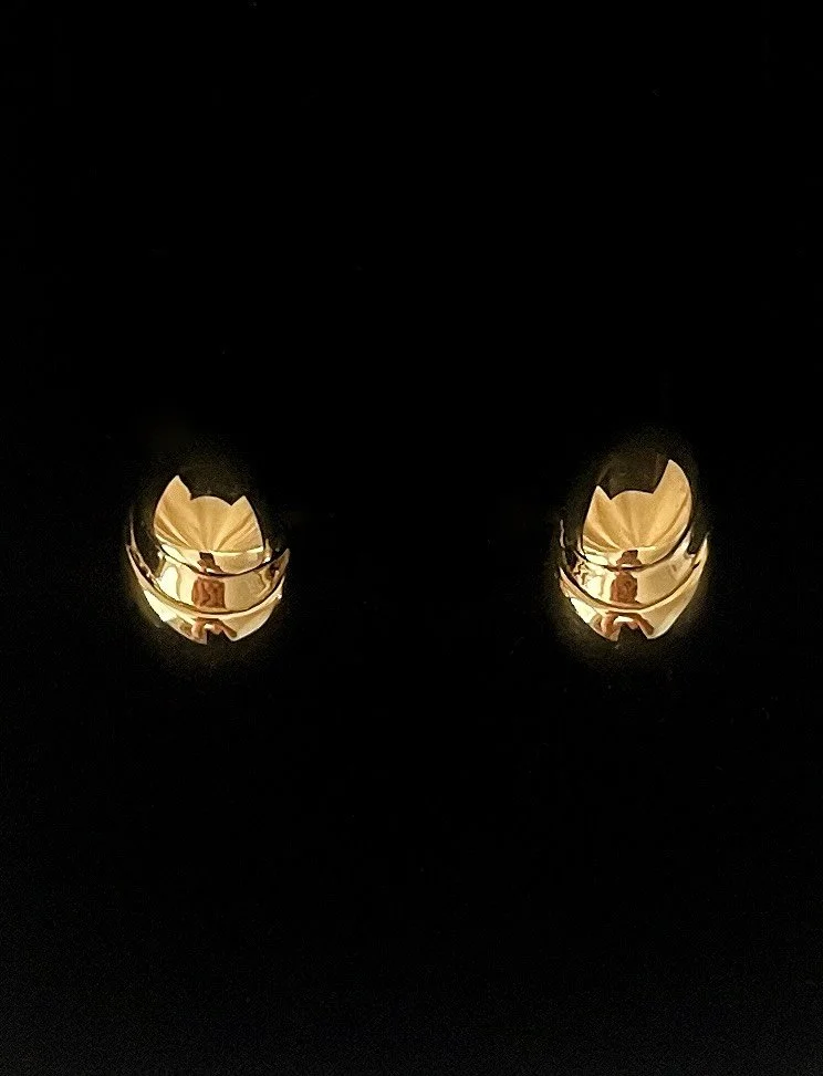 A recent bespoke project 💛

#bespokeearrings #bespokejewellery #personalisedgift #goldearhuggies #giftswithmeaning #personalisedjewellery #personalisedjewelleryuk #ukjewellerydesigner #handmadeintheuk #handmadejewelleryuk
