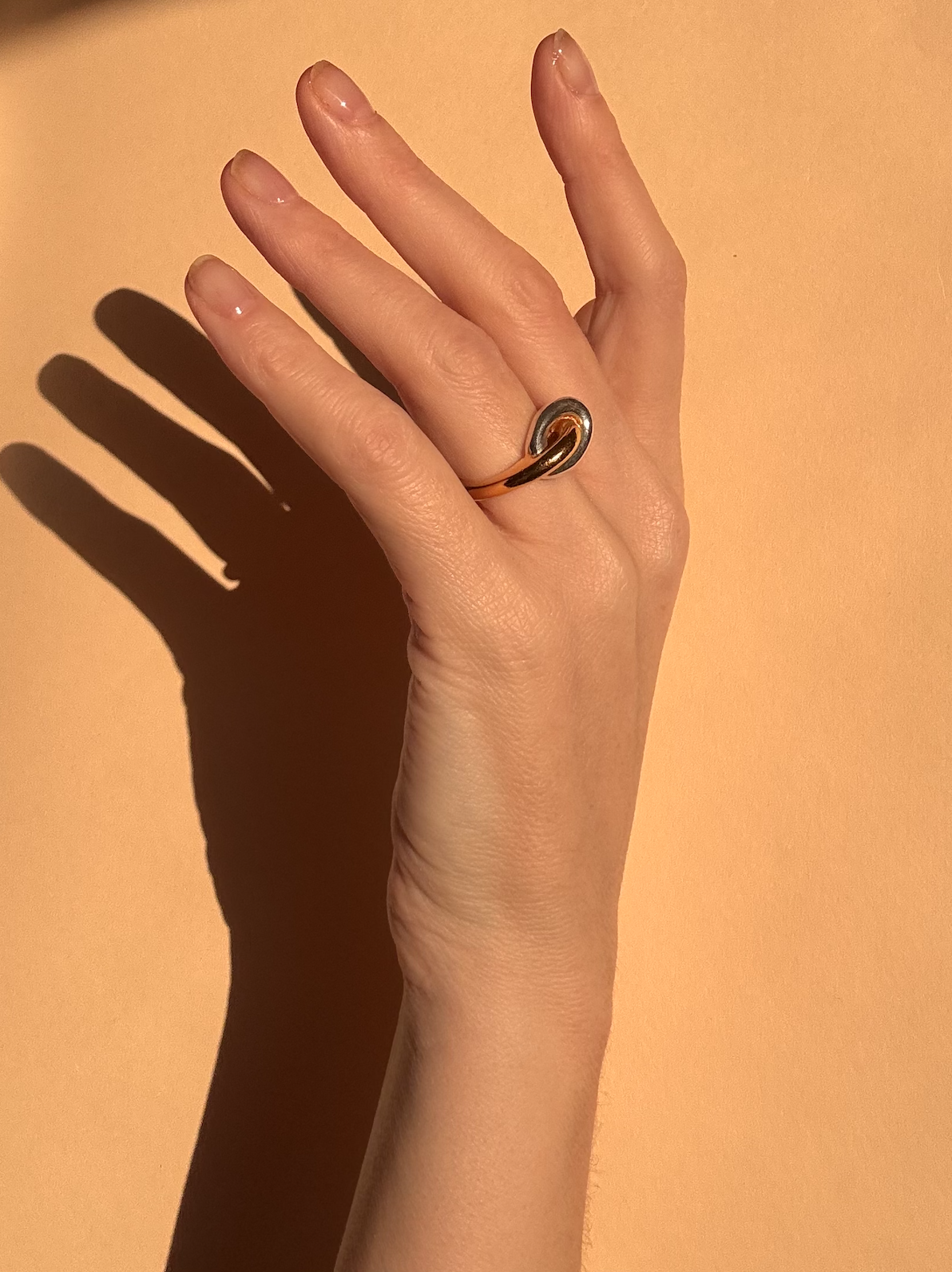 ortus ring website image silver gold.png