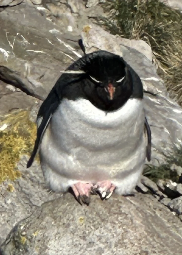 IMG_7162.jpg