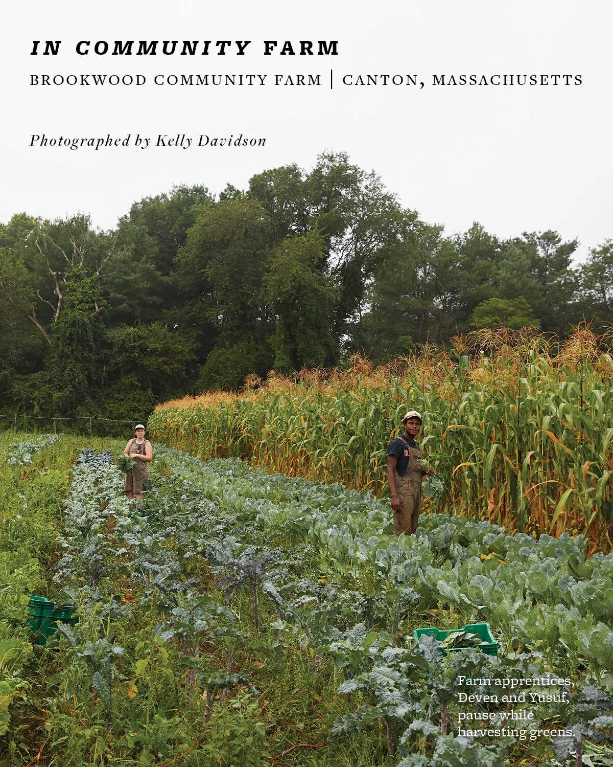 Community Farm