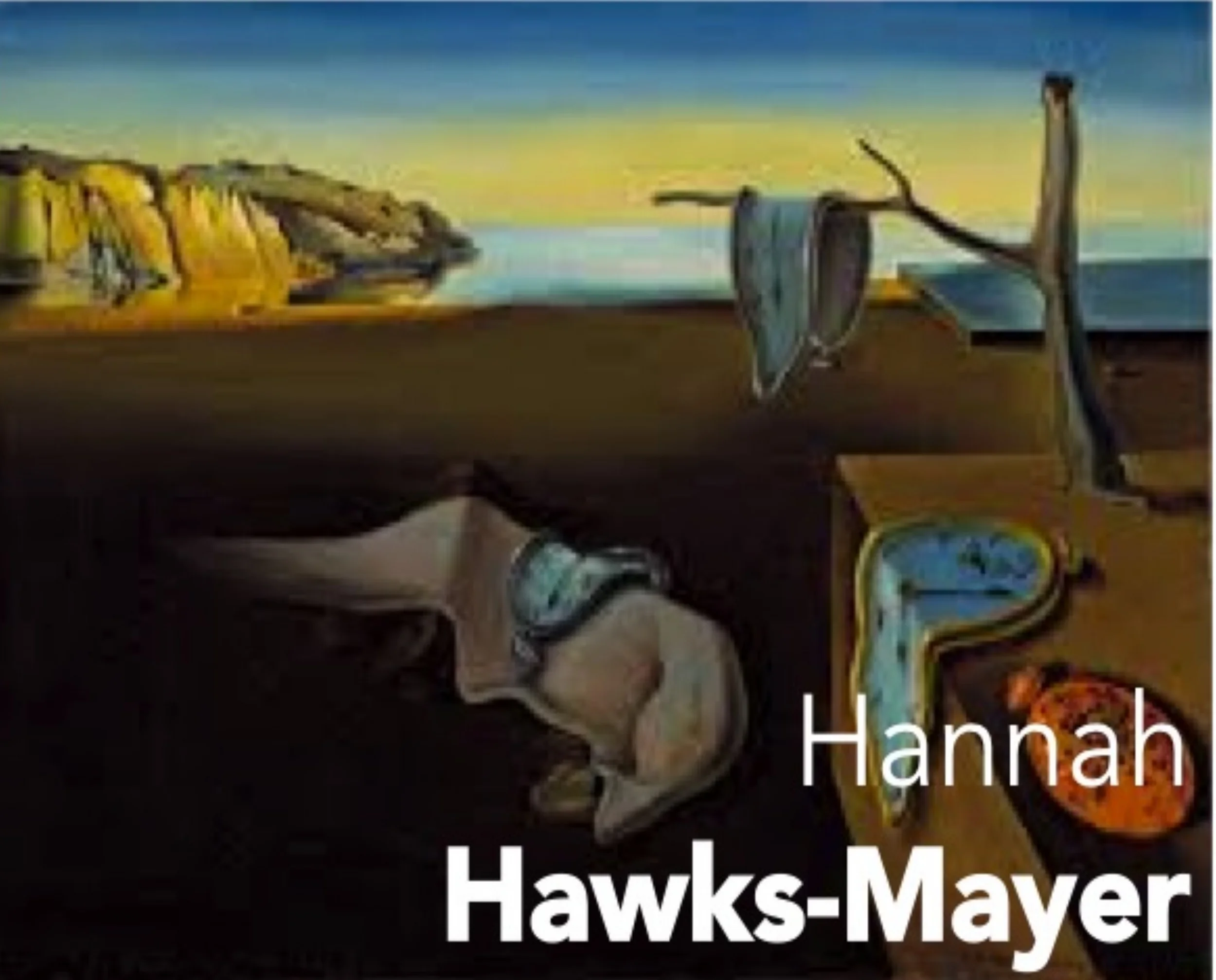  Research Assistant Hannah Hawks-Mayer is a Boston native. She received her B.S. from Virginia Tech in Biology in 2017. 