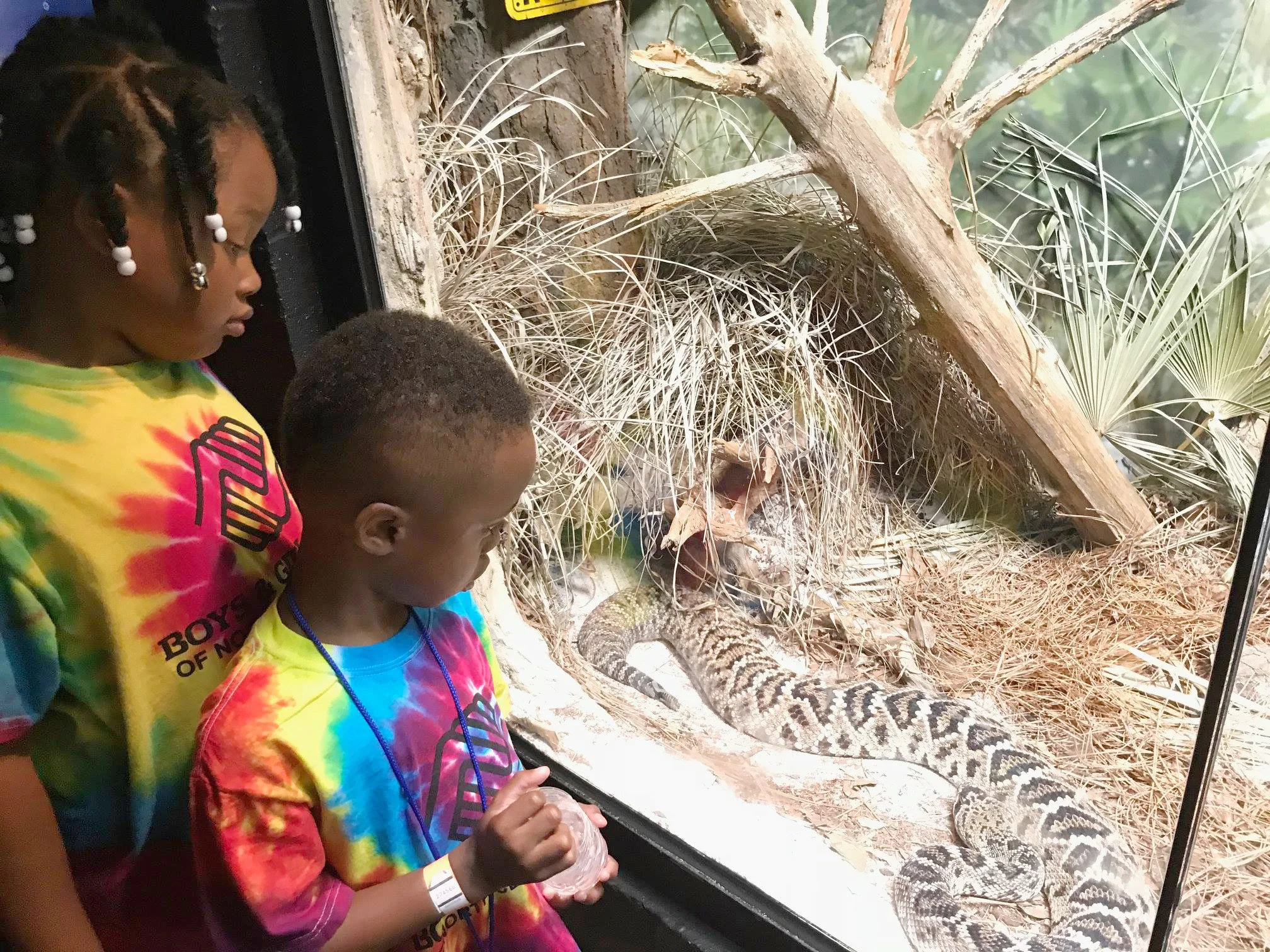 zoo atlanta inside.jpg