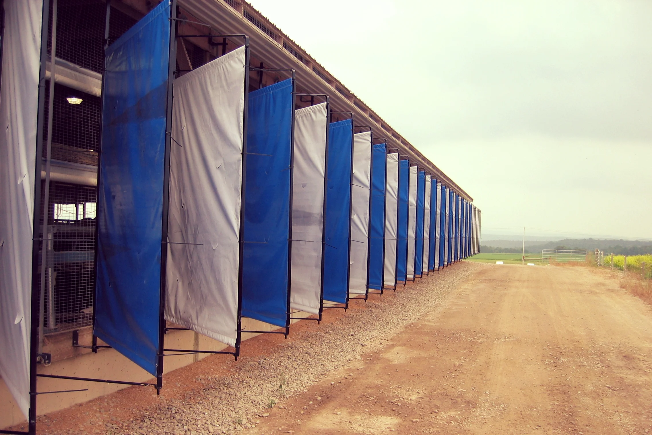 Architect-designed “solar fins” on a freestall barn block the low-angled western sun while allowing northwest breezes through, keeping cows comfortable.