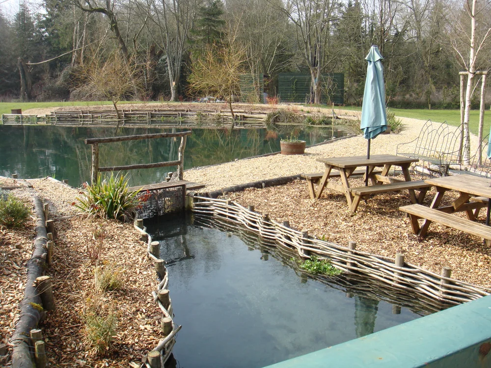Church paddock fishery