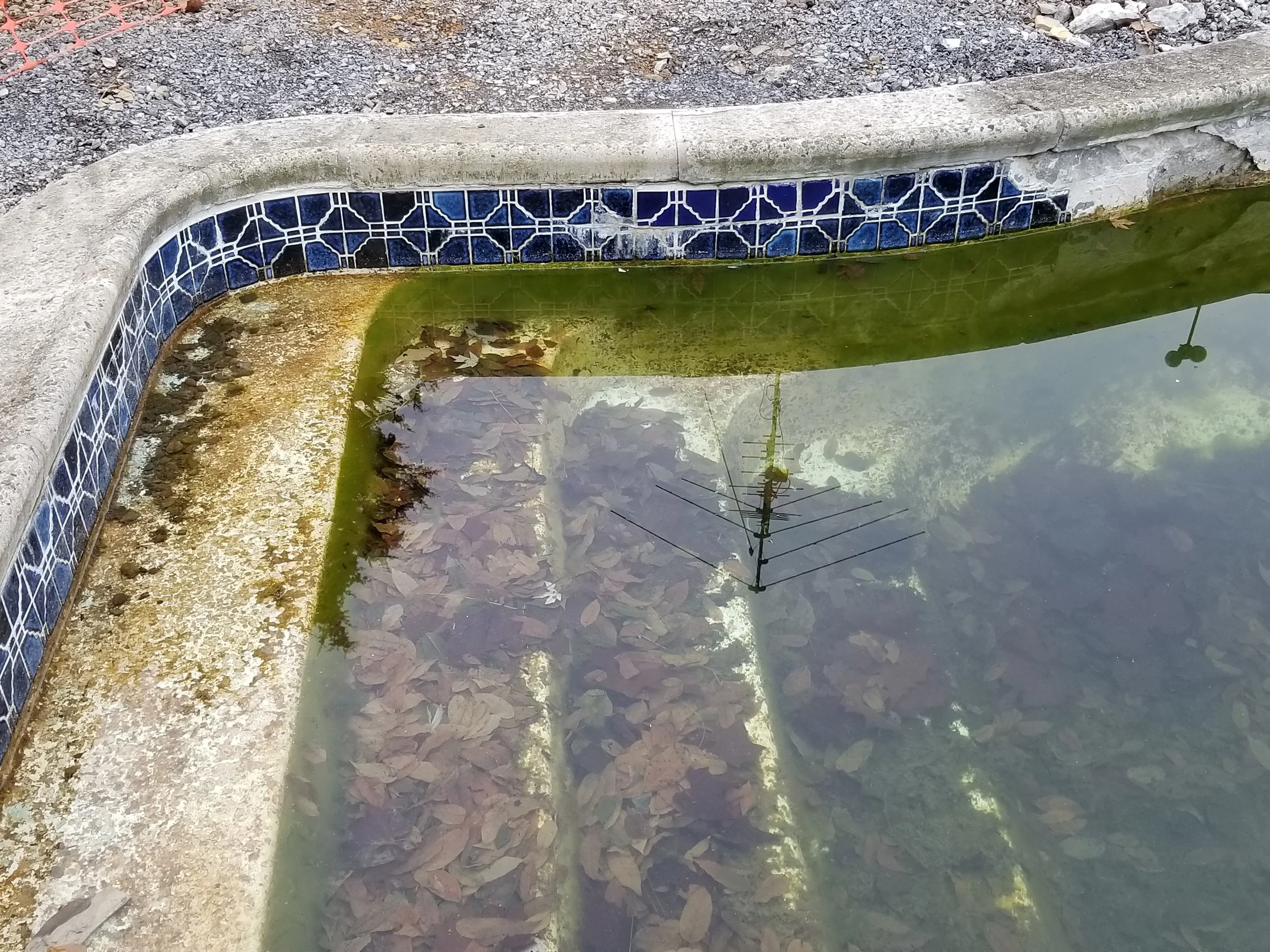 Scrolll Pool Pool Repair & Restoration in Maryland Since 1942 | Browning Pools