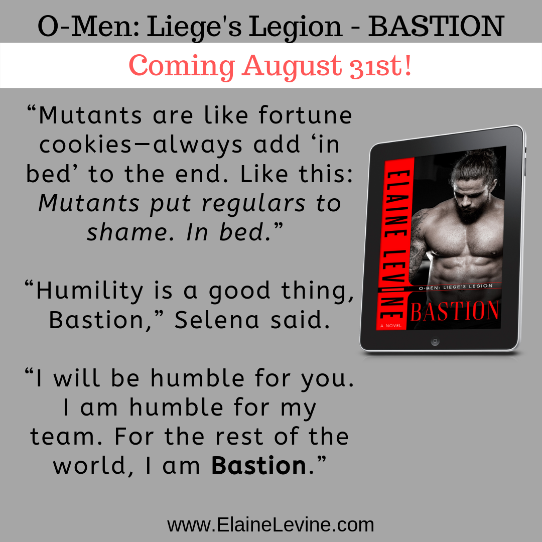 Bastion Ad 2-2.png