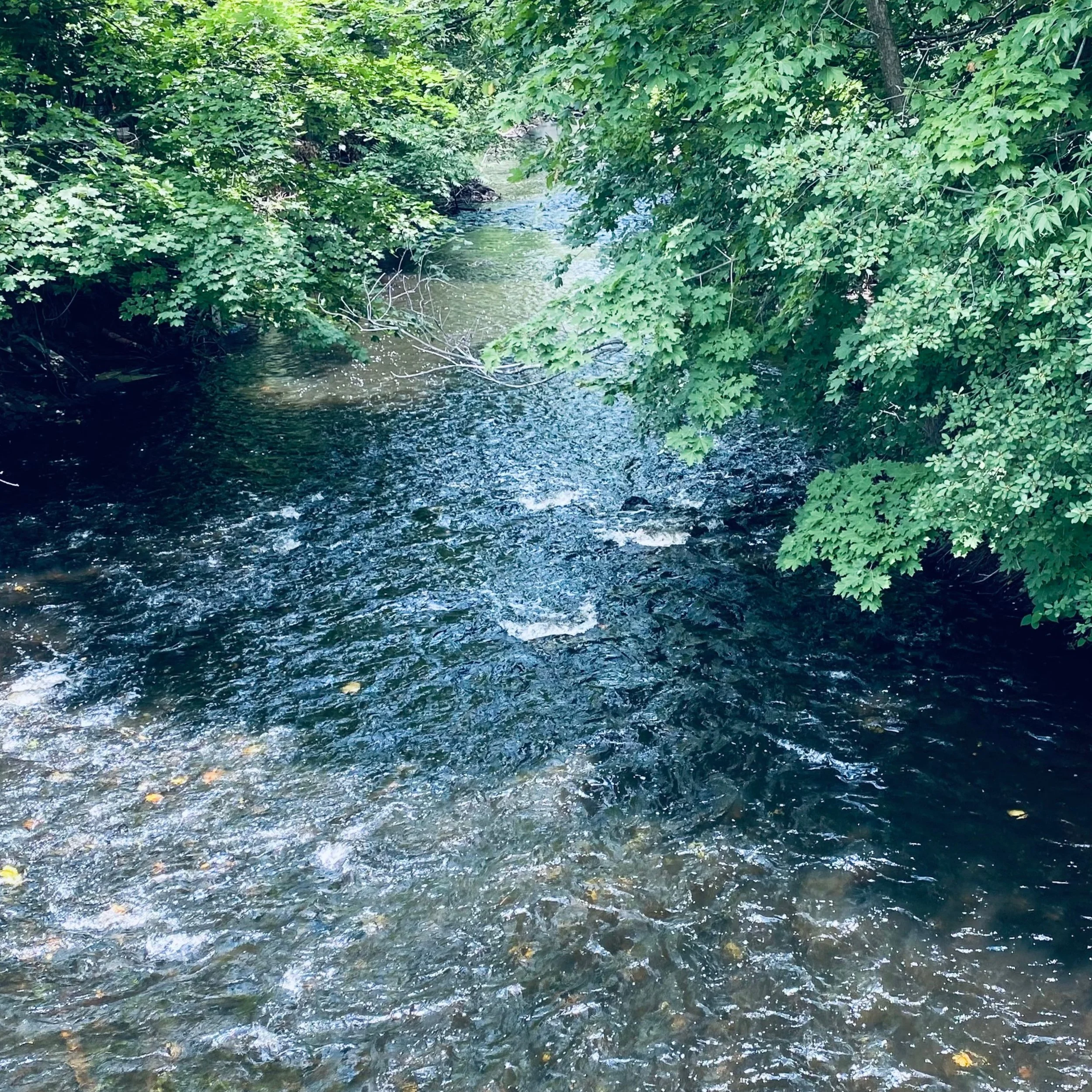 Regular square motherbrook.jpg