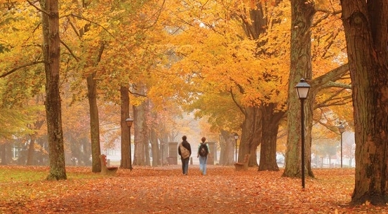 fall_middlepath.jpg