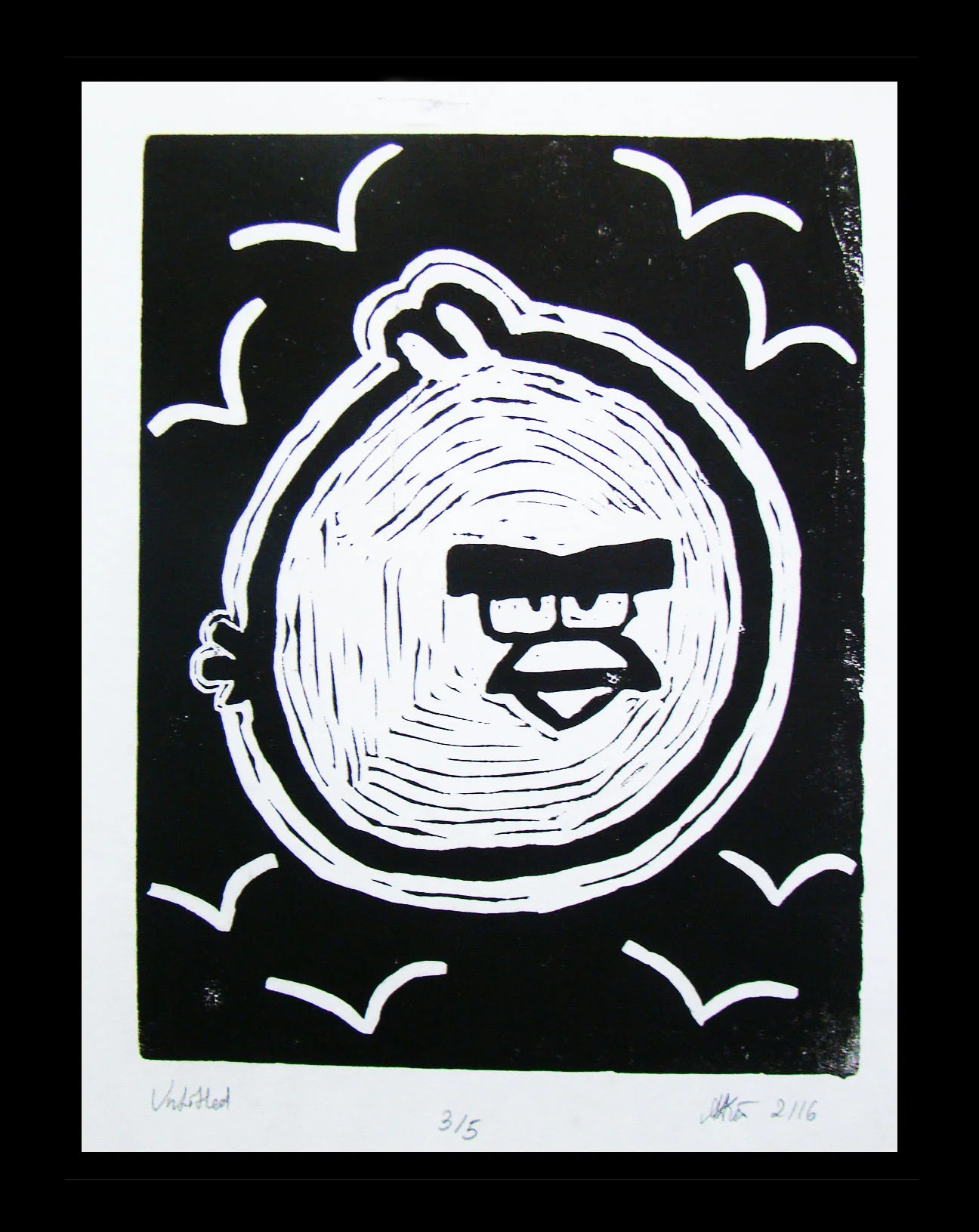 Angry Bird, 8th Grade